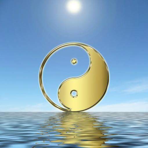 Wat is nu Yin & Yang?